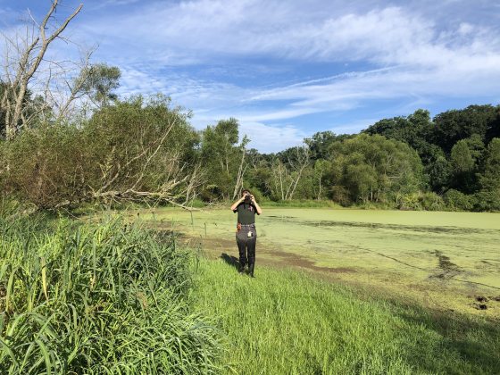 a person in a meadow with trees on the edge of the property